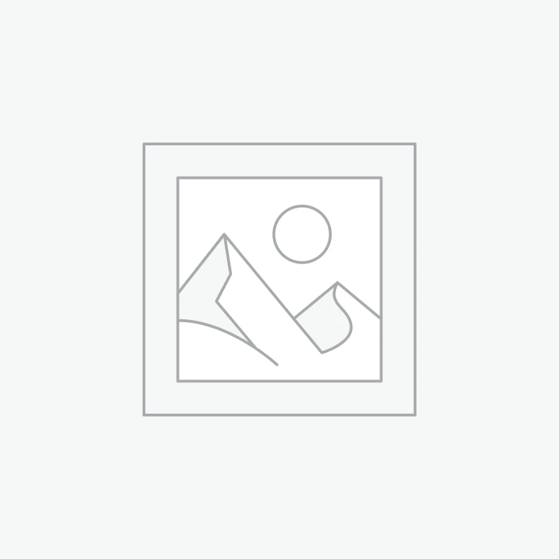 BARETTES CATE HALLOWEEN