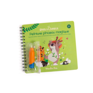 PEINTURE PINCEAU MAGIQUE DLJ