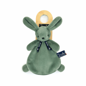 LAPIN DORLOTIN DOUDOU VERT SAUGE